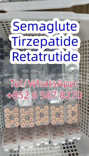 Big with watermark adler trumpf junior sughd buston 4604