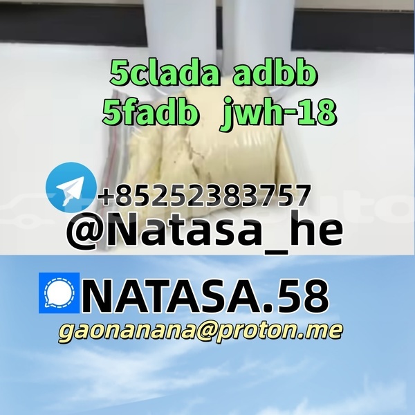 Big with watermark 5 1 cas 1119 51 3.png 480x480 %e5%89%af%e6%9c%ac