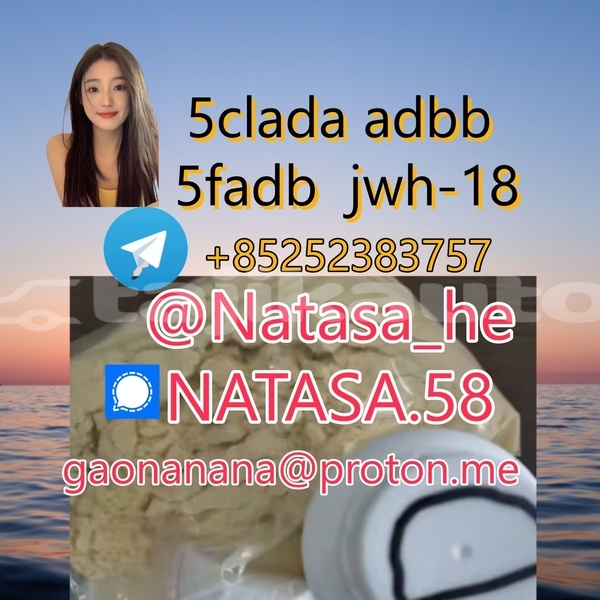 Big with watermark 1119 51 3.png 480x480 %e5%89%af%e6%9c%ac