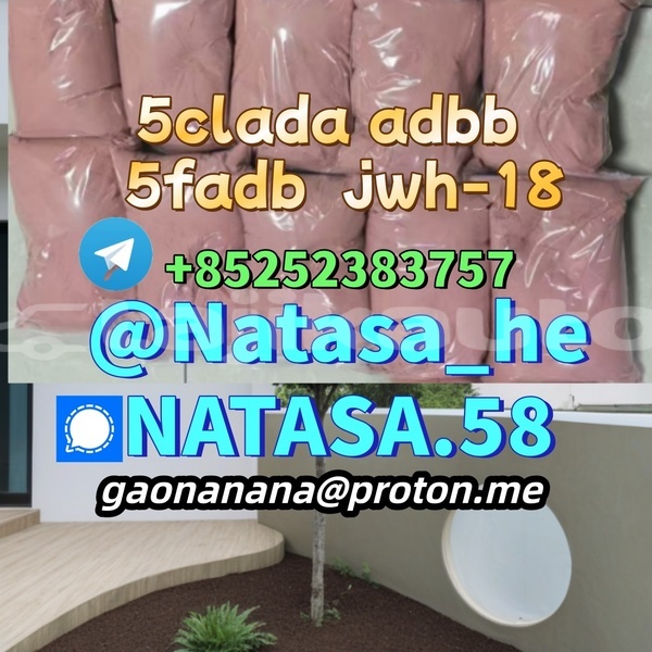 Big with watermark bmw 326 dushanbe dushanbe 4611