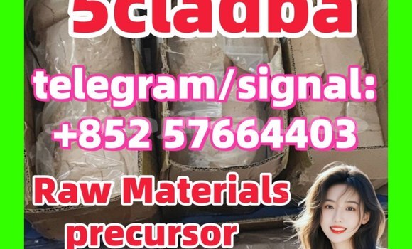 Medium with watermark 51