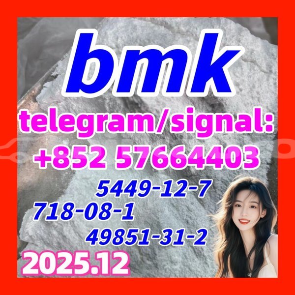 Big with watermark zb2