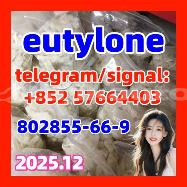 Big with watermark ze1 3