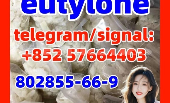 Medium with watermark ze1 3 