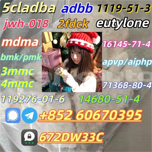 Big with watermark cas 14530 33 7 3