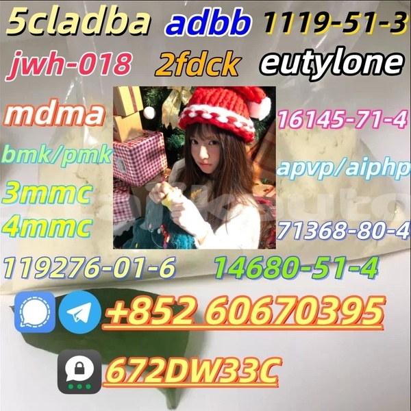 Big with watermark ethyl 2 phenylacetoacetate cas 5413 05 8 28578 16 7 20320 59 6 5337 93 9 23076 35 9 236117 38 7 1009 14 9 80532 66 187393 00 6 37148 47 3 37148 48 4 bmk 3 