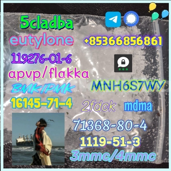 Big with watermark 1 113 