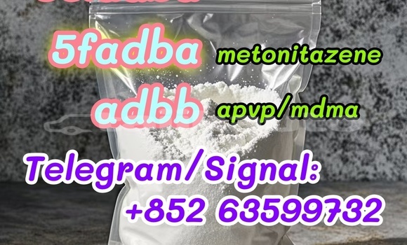 Medium with watermark 63