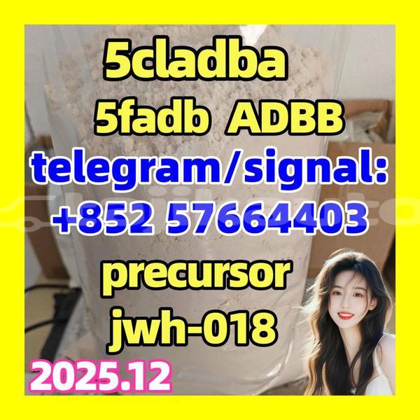 Big with watermark 5cll1