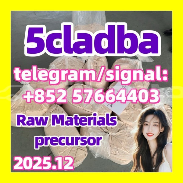 Big with watermark 551