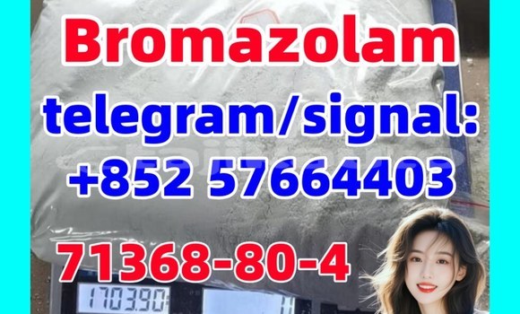 Medium with watermark b1