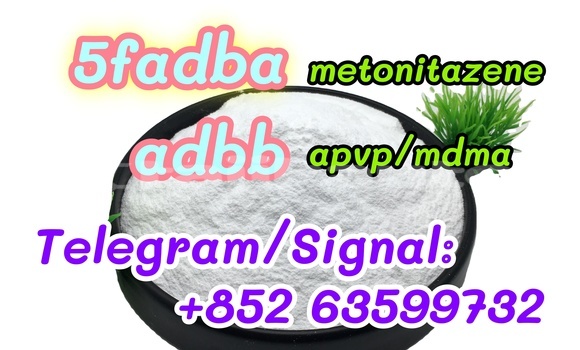 Medium with watermark 65