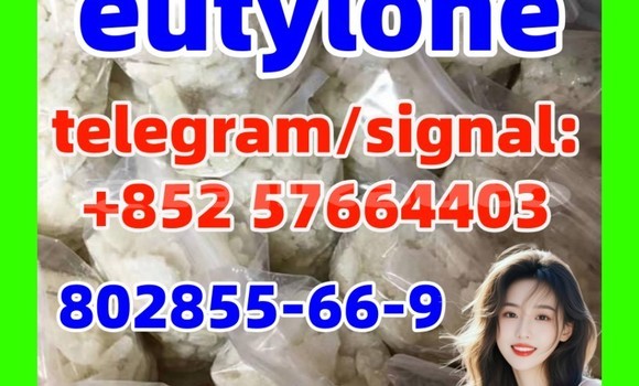 Medium with watermark ze1 1 