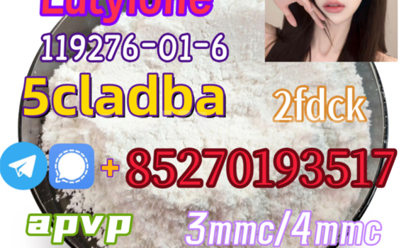 Medium with watermark 7 2