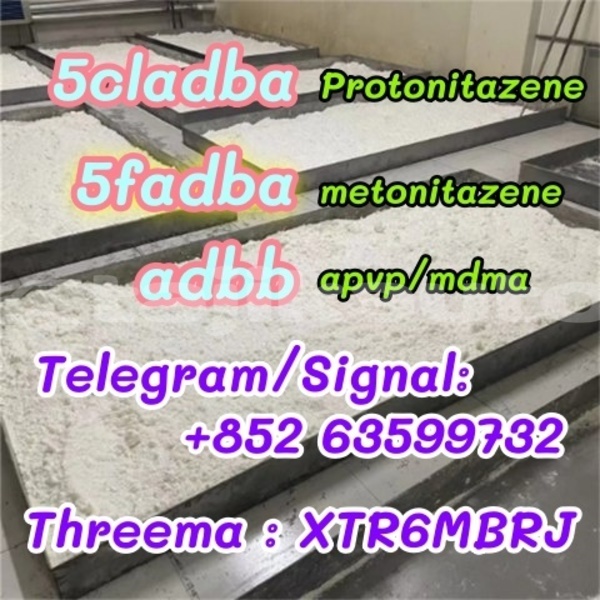 Big with watermark 61