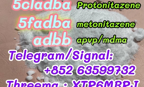 Medium with watermark 62