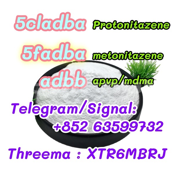 Big with watermark 65