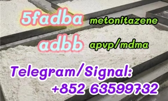 Medium with watermark 61