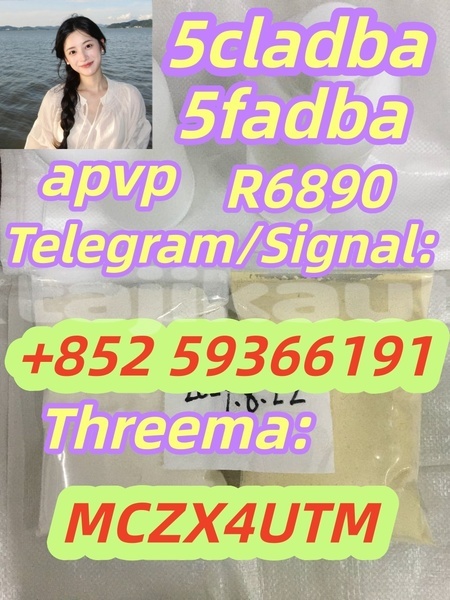 Big with watermark ac ace khatlon dangara 4743