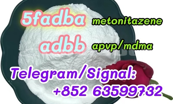 Medium with watermark 66