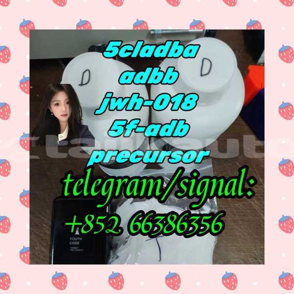 Big with watermark adler trumpf junior sughd ayni 4789