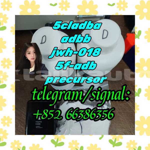 Big with watermark 2