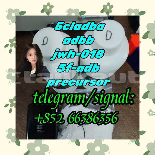 Big with watermark 4