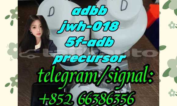 Buy 5cladba adbb 5f-adb in Chkalov in Sughd Buy 5cladba adbb 5f-adb in Chkalov in Sughd