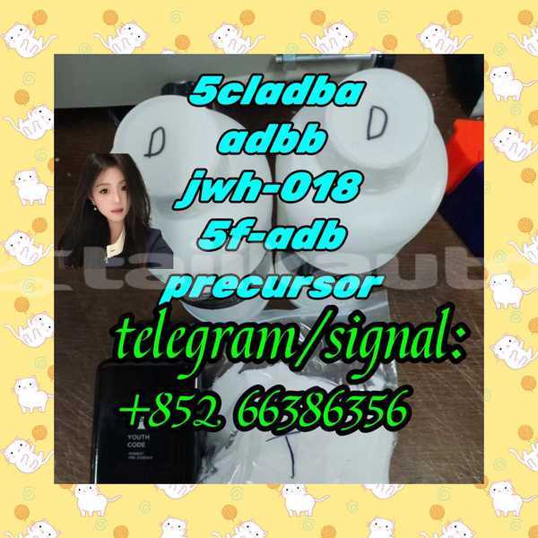 Big with watermark 6