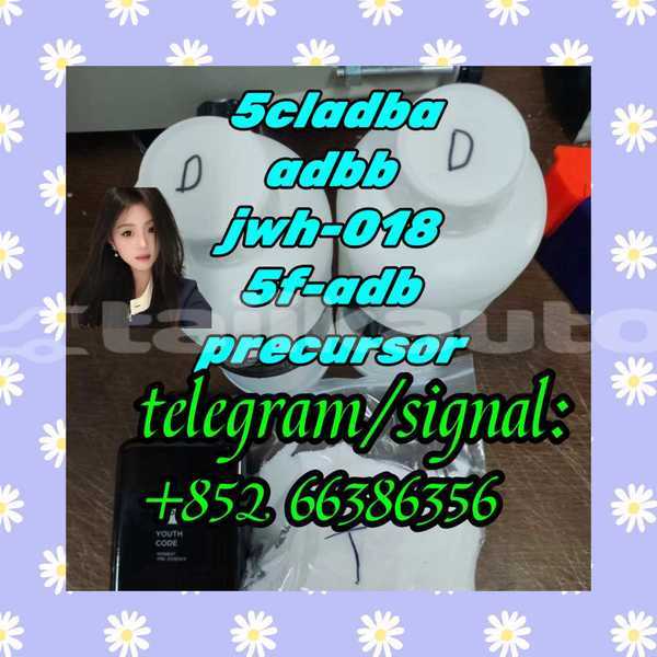 Big with watermark 8