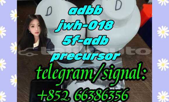 Medium with watermark 8