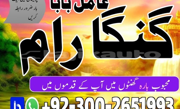 Buy Used Acura Integra Brown Car in Chkalov in Sughd Buy Used Acura Integra Brown Car in Chkalov in Sughd
