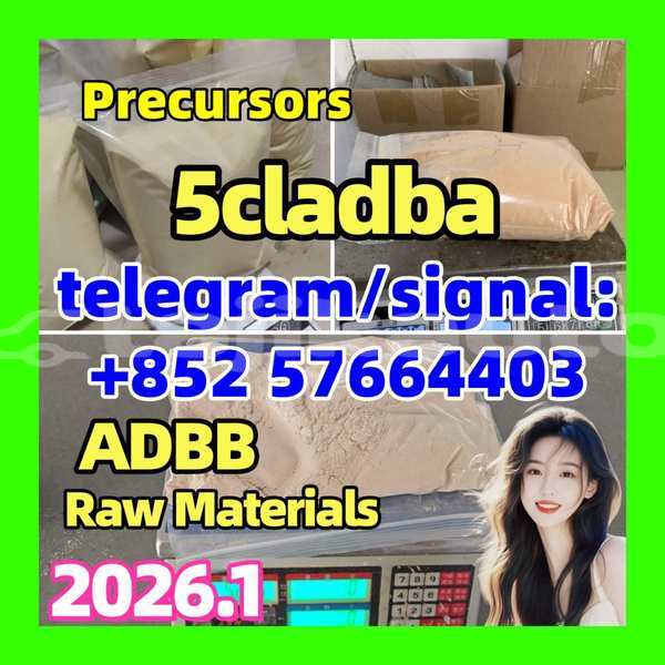 Big with watermark 5cc1