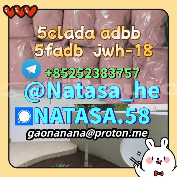 Big with watermark citroen berlingo sughd gafurov 5046