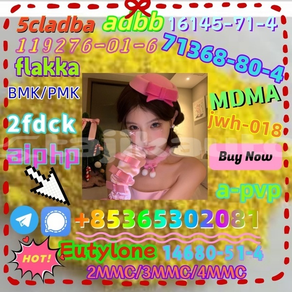 Big with watermark 1 16 %e5%89%af%e6%9c%ac