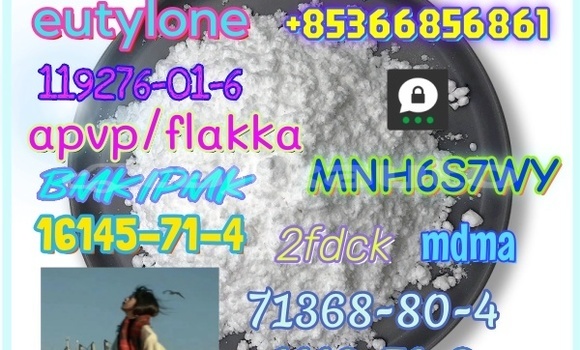 Medium with watermark 1 169