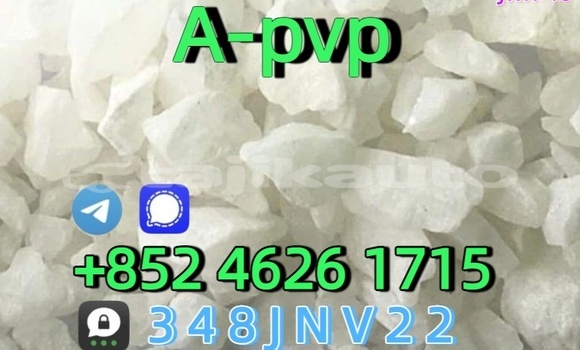 Buy CAS:14530-33-7 Apvp in Dangara in Khatlon Buy CAS:14530-33-7 Apvp in Dangara in Khatlon