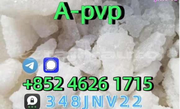 Buy CAS:14530-33-7 Apvp in Dangara in Khatlon Buy CAS:14530-33-7 Apvp in Dangara in Khatlon