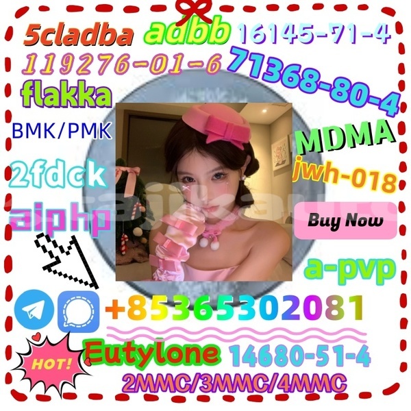 Big with watermark 1 11