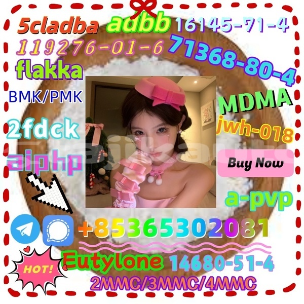 Big with watermark 1 24