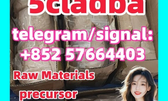 Medium with watermark 54