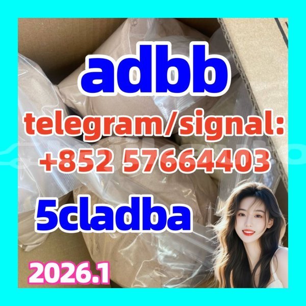 Big with watermark 544