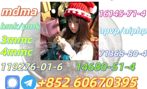 Buy Bmk and Pmk low price in Chorku in Sughd Buy Bmk and Pmk low price in Chorku in Sughd