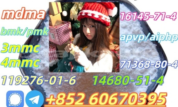 Buy Bmk and Pmk low price in Chorku in Sughd Buy Bmk and Pmk low price in Chorku in Sughd