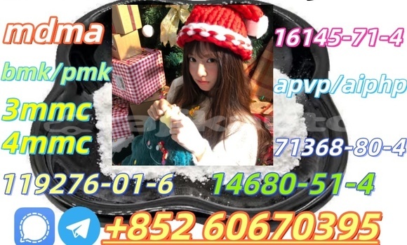 Buy Bmk and Pmk low price in Chorku in Sughd Buy Bmk and Pmk low price in Chorku in Sughd