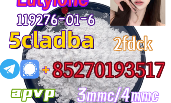 Medium with watermark 4 3 