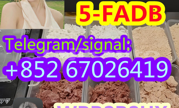 Medium with watermark 2a61f0bc 3b58 43a6 b374 289741b8c9c8