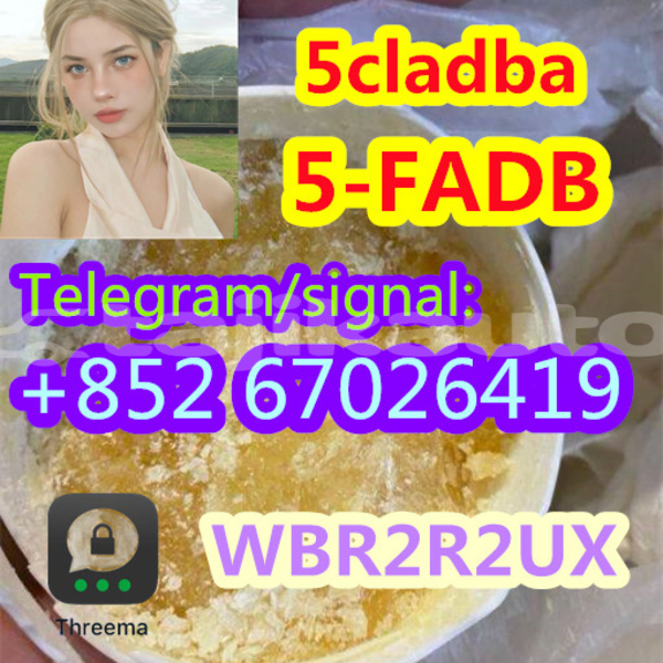 Big with watermark c39dc2fe 0119 4958 8968 af1c44208b1f %e5%89%af%e6%9c%ac3