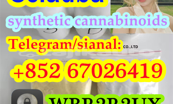 Buy 5cladba Yellow 5CL-ADB-A in Chorku in Sughd Buy 5cladba Yellow 5CL-ADB-A in Chorku in Sughd