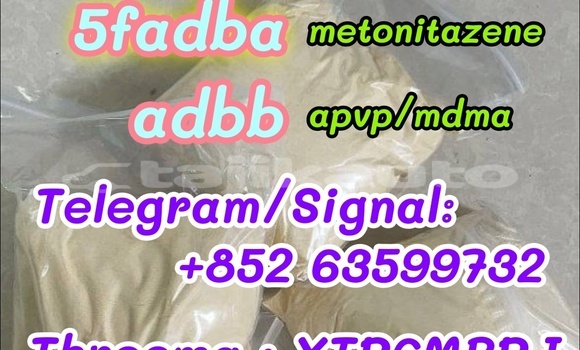 Medium with watermark 42